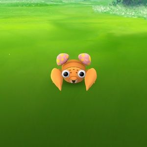 Meet your Posher, Anabel